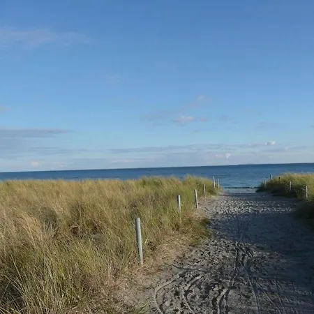 Elysium 2 Comfortable