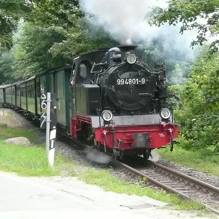 Elysium 2 Comfortable