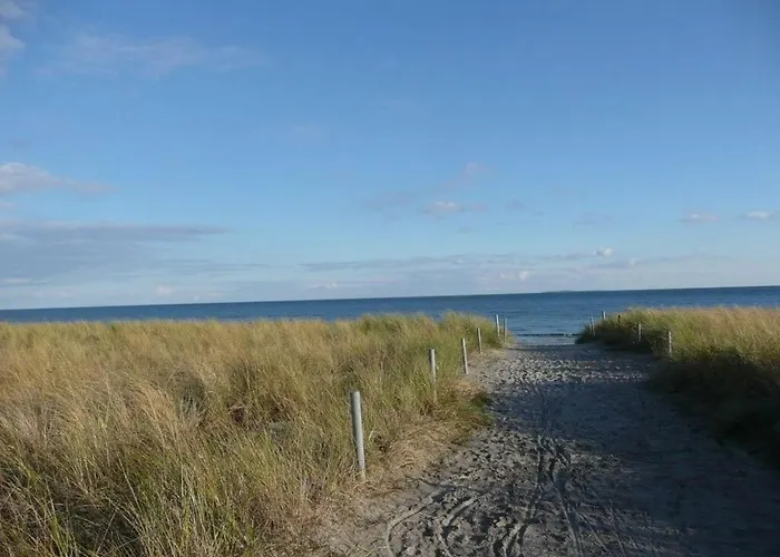 Elysium 2 Comfortable