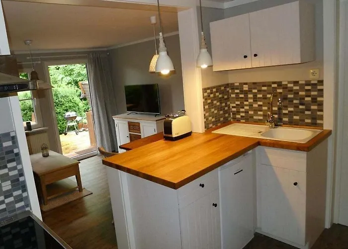 Elysium 2 Comfortable *