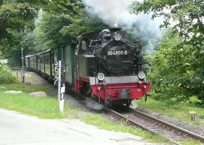 Elysium 2 Comfortable